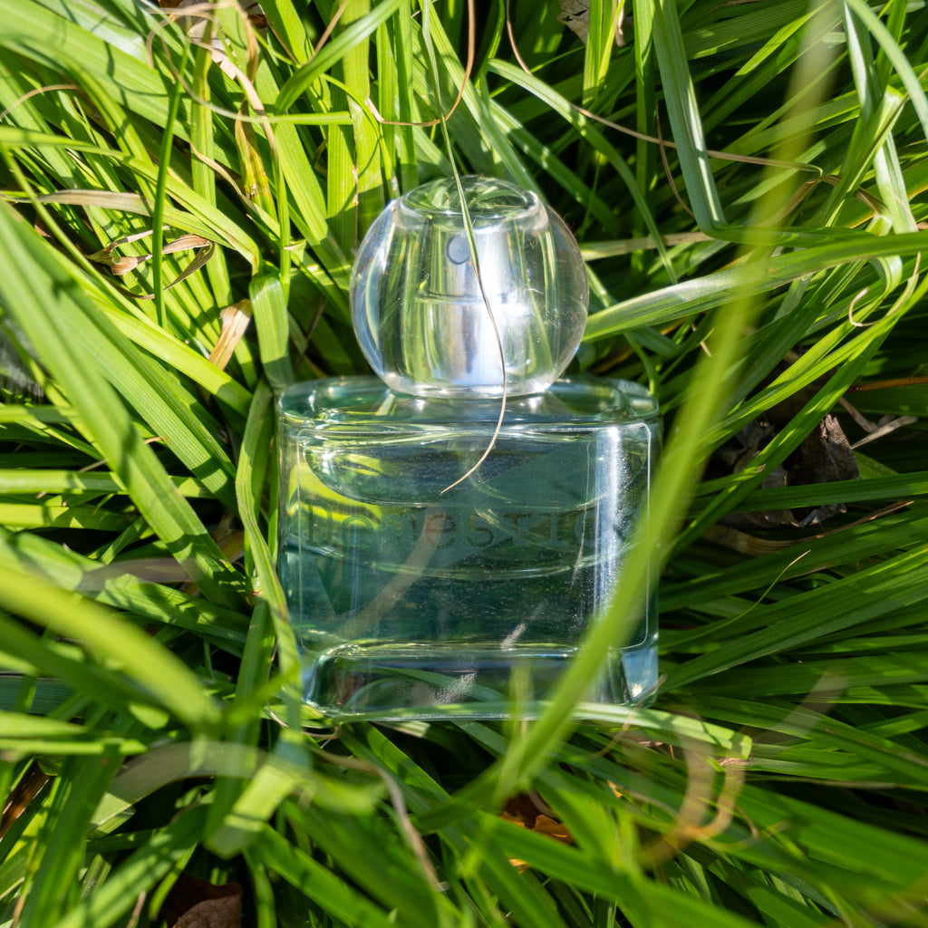 Clear glass bottle with a round cap on grass.