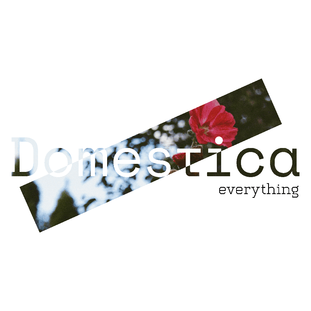 Animated 'Domestica' logo with a rotating collage of film photos. Underneath, the text reads 'Everything feels lighter and somehow possible.'